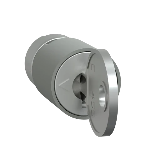 Schneider Electric PRISMA P CYLINDERSLOT+COMBSLOT 2433A