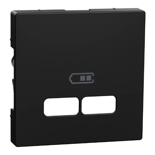 Merten Centraalplaat voor lader gerecycled Systeem M USB Centraalplaat 2 connectoren Met label zwart MEG4367-0403