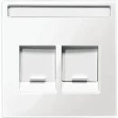 Merten Systeem M inzetplaat rj45 Modular-Jack Centraalplaat 2 connectoren Met label wit MTN4564-0319