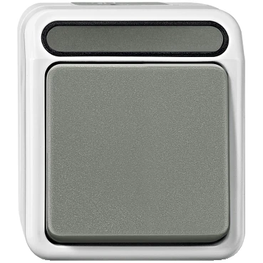 Merten Aquastar installatieschakelaar Tweepolige schakelaar opbouw 10AX grijs RAL 7035 IP44 MTN3112-8029