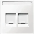 Merten Systeem M inzetplaat rj45 Modular-Jack Centraalplaat 2 connectoren Met label wit MTN4564-0319