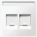 Merten Systeem M inzetplaat rj45 Modular-Jack Centraalplaat 2 connectoren Met label wit MTN4564-0319