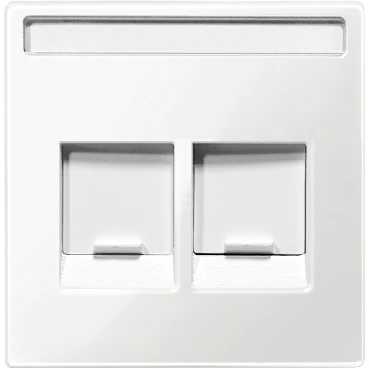 Merten Systeem M inzetplaat rj45 Modular-Jack Centraalplaat 2 connectoren Met label wit MTN4564-0319