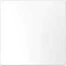 Merten Systeem M bedieningselement wisselschakelaar aan / uit enkele wip wit RAL 9003 MTN3300-6035