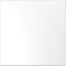 Merten Systeem M bedieningselement wisselschakelaar aan / uit enkele wip wit RAL 9003 MTN3300-6035