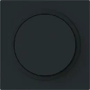 ABB Busch-Jaeger Art linear Centraalplaat draaiknop zwart RAL 9005 2CKA006599A3055