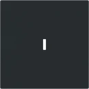 ABB Busch-Jaeger Art linear Bedieningswip met lens enkele wip zwart RAL 9005 2CKA001751A3364