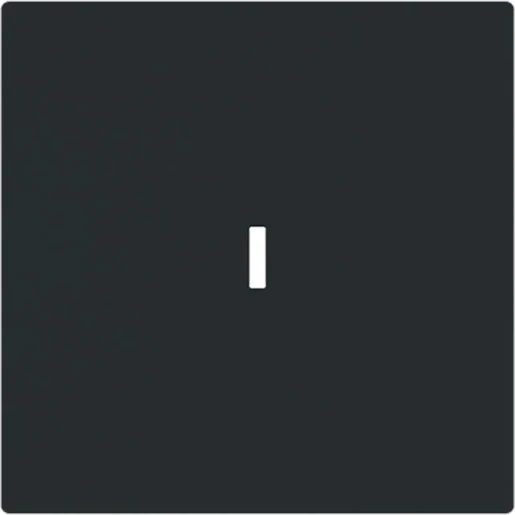 ABB Busch-Jaeger Art linear Bedieningswip met lens enkele wip zwart RAL 9005 2CKA001751A3364