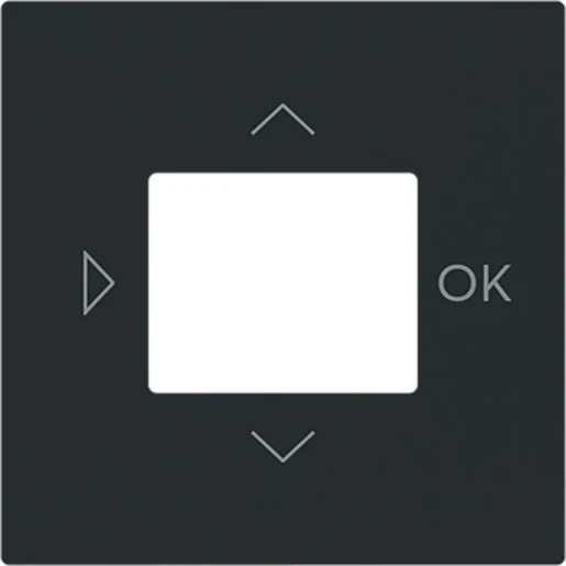 ABB Busch-Jaeger Art linear Centraalplaat timer bedieningselement centraalplaat zwart RAL 9005 2CKA006430A0453