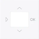 ABB Busch-Jaeger Art linear Centraalplaat timer bedieningselement centraalplaat wit RAL 9016 2CKA006430A0450