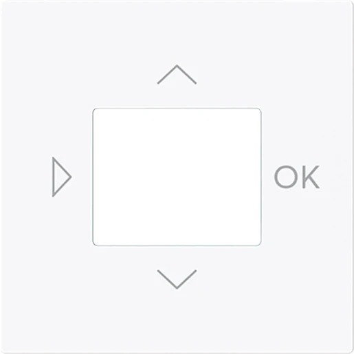 ABB Busch-Jaeger Art linear Centraalplaat timer bedieningselement centraalplaat wit RAL 9016 2CKA006430A0450