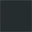 ABB Busch-Jaeger Art linear Bedieningswip enkele wip zwart RAL 9005 2CKA001751A3336