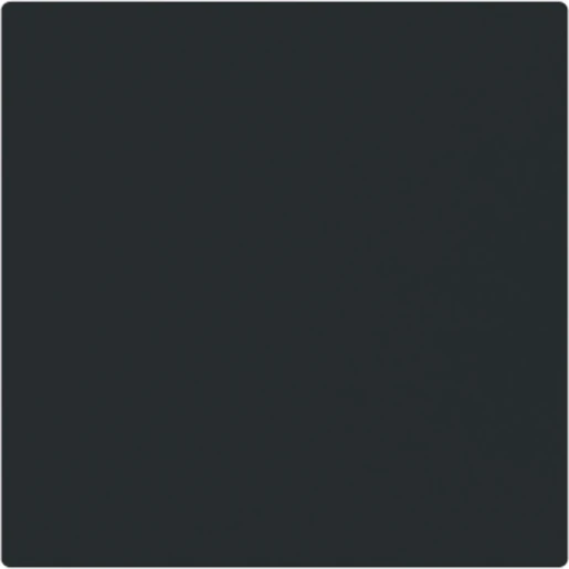 ABB Busch-Jaeger Art linear Bedieningswip enkele wip zwart RAL 9005 2CKA001751A3336