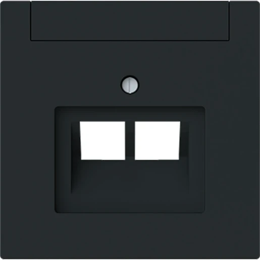 ABB Busch-Jaeger Art linear Centraalplaat voor UAE-datacontactdozen Voor dataansluitkast Bedieningselement 2 connectoren Met label zwart 2CKA001710A4230