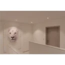 SLV New Tria LED-module 540lm 1007432