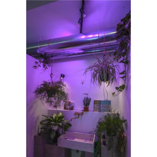 SLV Enola GU10 spot 135x125mm Ø67mm zwart 152010