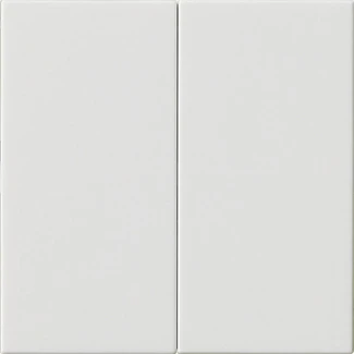 Gira System 55 s3000 bedieningselement zuiver wit 2-voudig Glanzend wit RAL 9010 536203