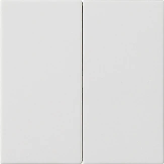 Gira System 55 s3000 bedieningselement zuiver wit 2-voudig Mat wit RAL 9010 536227