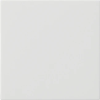 Gira System 55 s3000 bedieningselement zuiver wit enkelvoudig Glanzend wit RAL 9010 536003