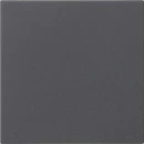 Gira System 55 S3000 bedieningselement enkelvoudig antraciet 536028