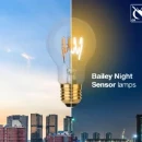Bailey Spiraled Sensor E27 signaleringslamp 2200K 350lm 105mm 320° 220 - 240V Helder glas wit schemeringsschakelaar 145768
