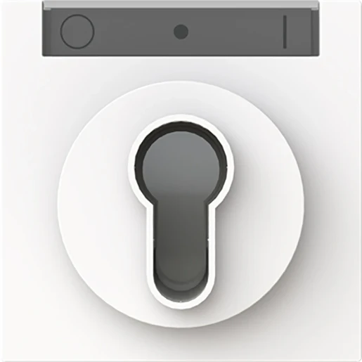 ABB Busch-Jaeger Art linear Centraalplaat slot sleutel wit RAL 9016 2CKA001710A4158