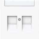 ABB Busch-Jaeger Art linear Centraalplaat schuifjes Modular-Jack 2 connectoren wit 2CKA001710A4235