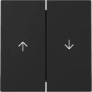 Gira Wip 2-v pijl System 55 zwart m