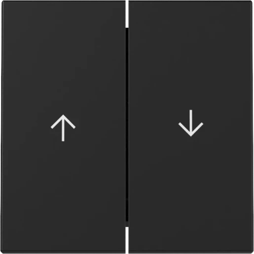 Gira Wip 2-v pijl System 55 zwart m