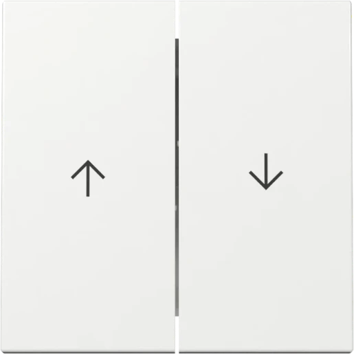 Gira Wip 2-v pijl System 55 z.wit