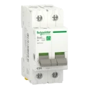 Schneider Electric Resi9 hoofdschakelaar 2 Polig 63A