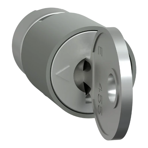 Schneider Electric PRISMA P CYLINDERSLOT+COMBSLOT 2433A