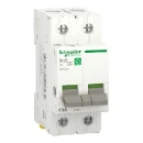 Schneider Electric Resi9 hoofdschakelaar 2 Polig 63A