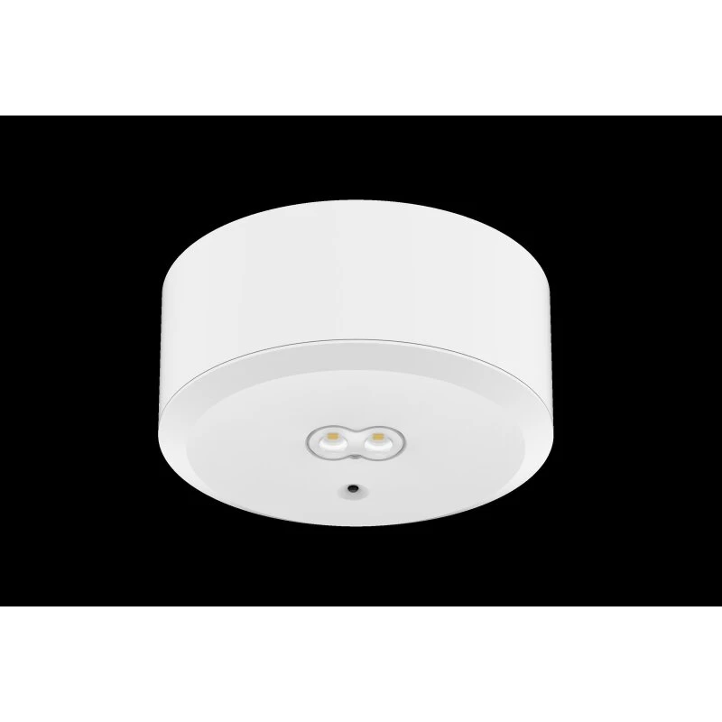 Emergency luminaire Dotlux