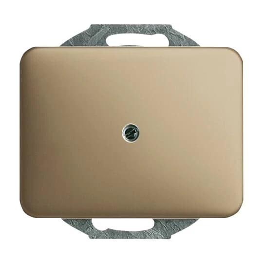 Insert/cover for communication technology Busch-Jaeger alpha