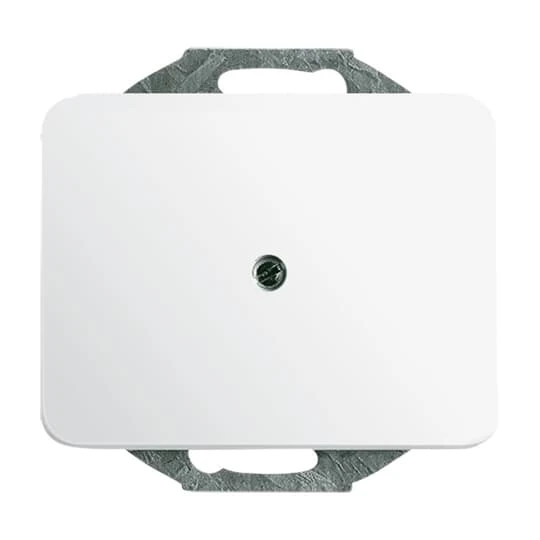 Insert/cover for communication technology Busch-Jaeger alpha