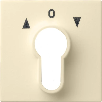 Control element/cover plate for domestic switching devices Gira System 55 Programmübergreifend