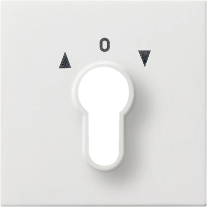 Control element/cover plate for domestic switching devices Gira Flächenschalter