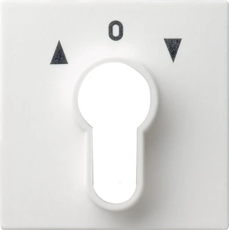 Control element/cover plate for domestic switching devices Gira System 55 Programmübergreifend