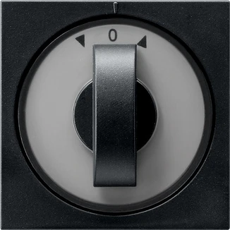 Control element/cover plate for domestic switching devices Gira System 55 Programmübergreifend