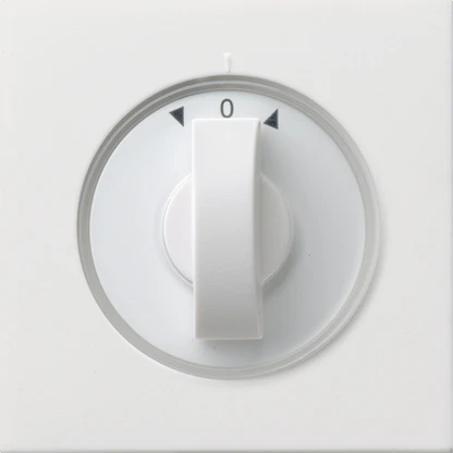 Control element/cover plate for domestic switching devices Gira Flächenschalter