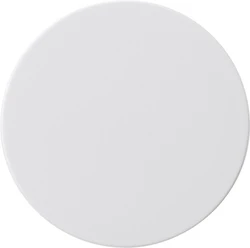 Control element/cover plate for domestic switching devices Gira Flächenschalter