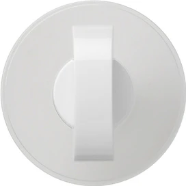 Control element/cover plate for domestic switching devices Gira Flächenschalter