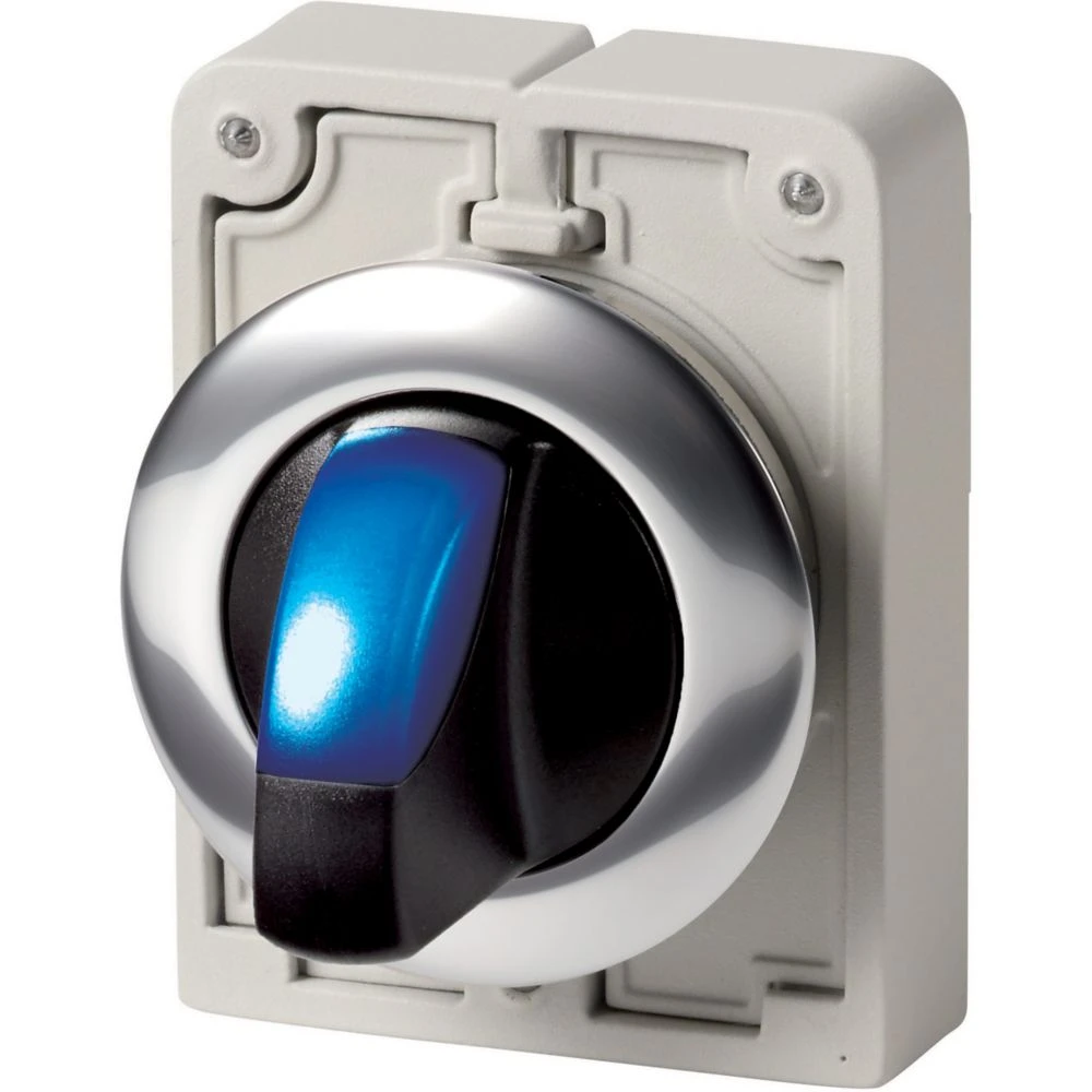 Frontelement voor keuzeschakelaar/selector Eaton RMQ M30