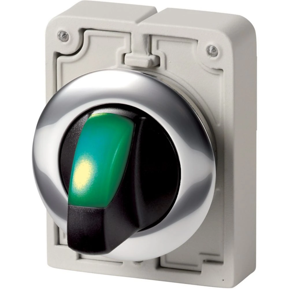 Frontelement voor keuzeschakelaar/selector Eaton RMQ M30