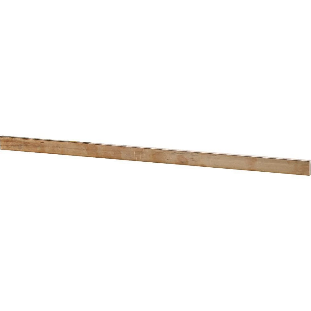 Sammelschiene Eaton None