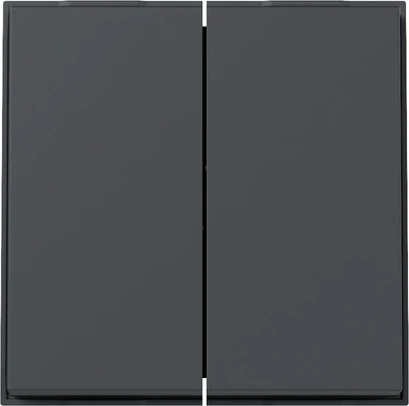 Control element/cover plate for domestic switching devices Gira TX_44