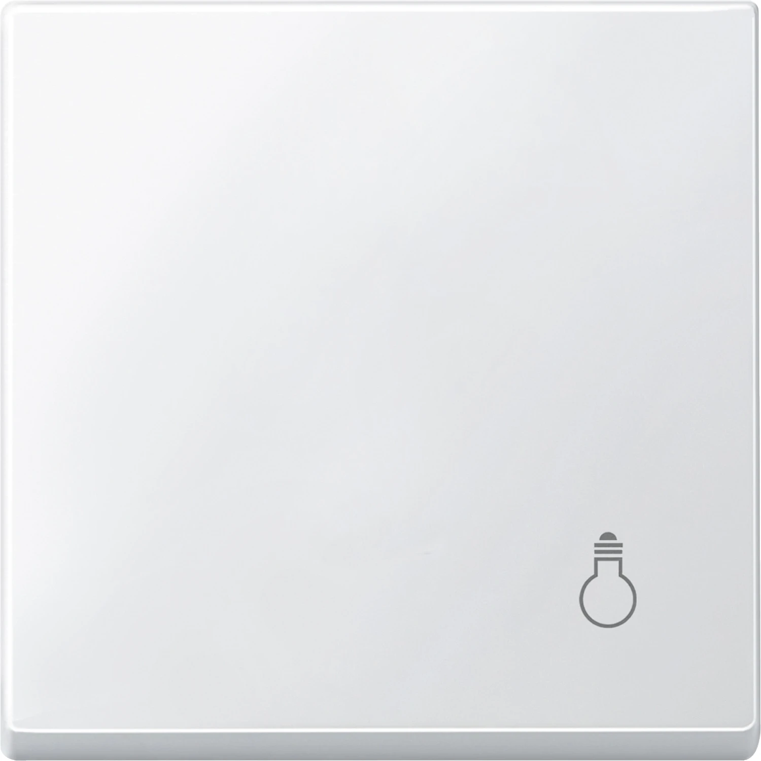 Control element/cover plate for domestic switching devices Merten Merten System M