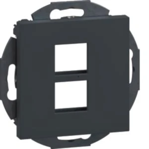 Insert/cover for communication technology Hager