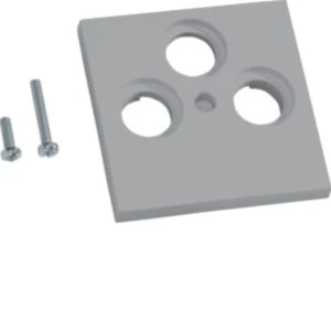 Insert/cover for communication technology Hager